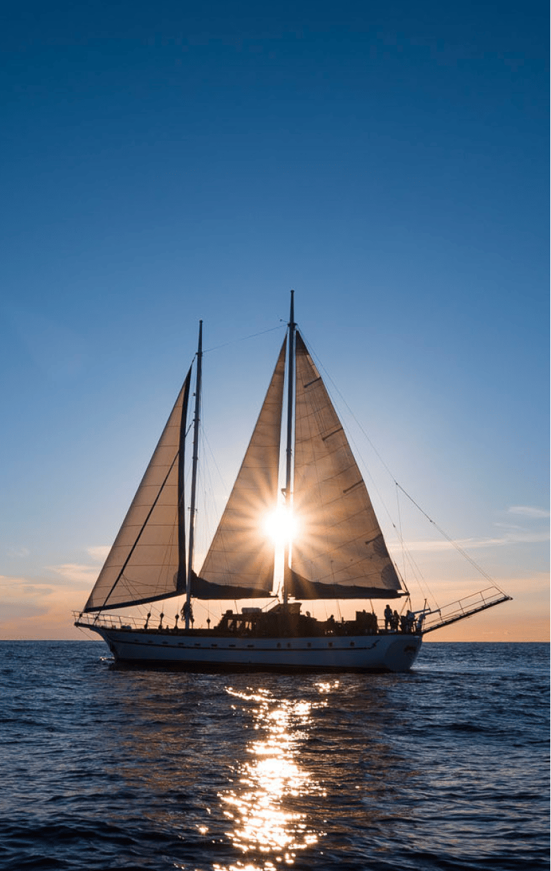 sailing yachts